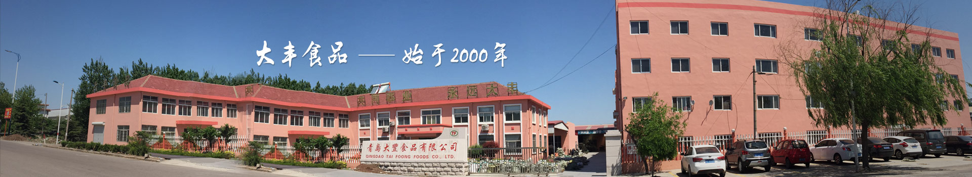 大豐食品，始于2000年