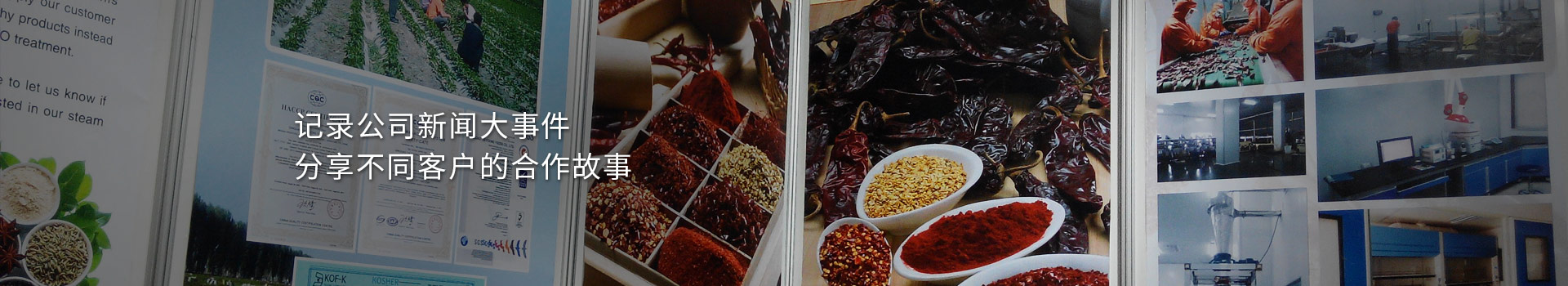 大豐食品：記錄公司新聞大事件，分享不同客戶的合作故事